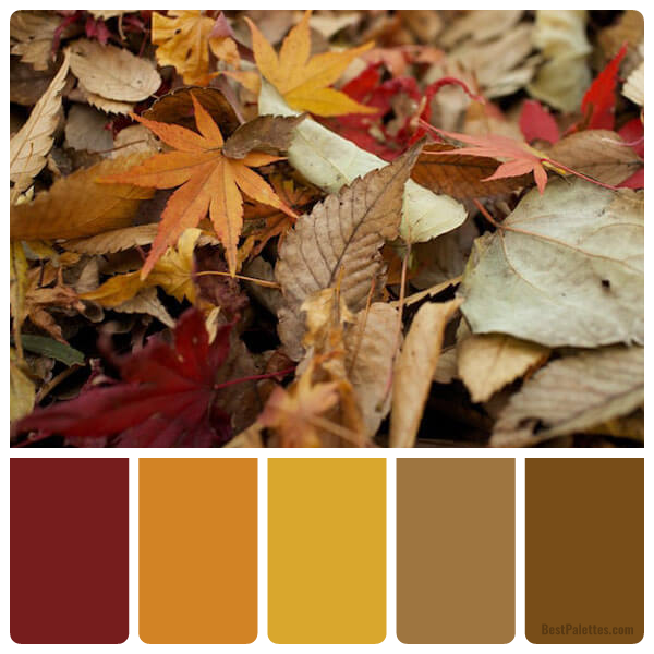Fall Leaves - Best Palettes